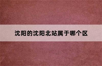 沈阳的沈阳北站属于哪个区